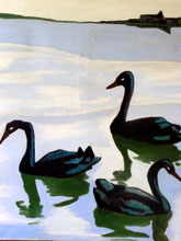 Der schwarze Schwan